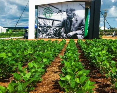 Koppert comemora 50 anos na AgroBrasília