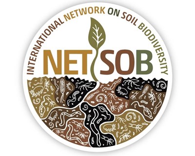 Lançamento da Rede Internacional sobre a Biodiversidade do Solo