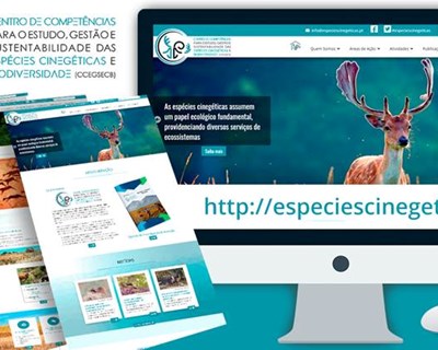 Lançamento do novo portal do CCECB