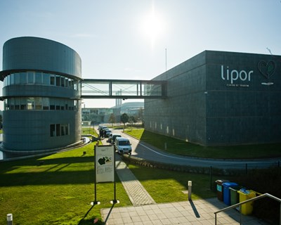 LIPOR abre concursos públicos no valor de mais de 8 milhões de euros