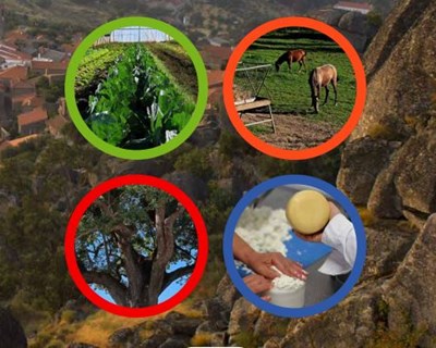 Livro Verde para o desenvolvimento rural da Região Centro