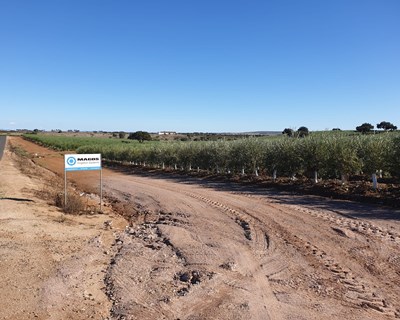 Magos Irrigation Systems organiza visitas a três obras de referência em olivais no âmbito da Ovibeja