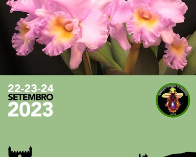 Mercado de Santa Clara recebe em setembro Orquídeas Raras em Flor