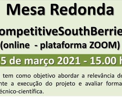 Mesa Redonda do GO - CompetitiveSouthBerries