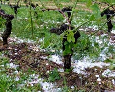 Ministério da Agricultura anuncia sete medidas de apoio às regiões afetadas pelas tempestades