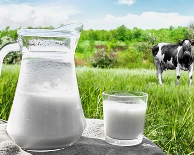 Ministério da Agricultura disponibiliza relatório da subcomissão do leite