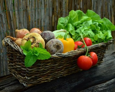 Ministério da Agricultura lança novo programa para apoiar produtos locais