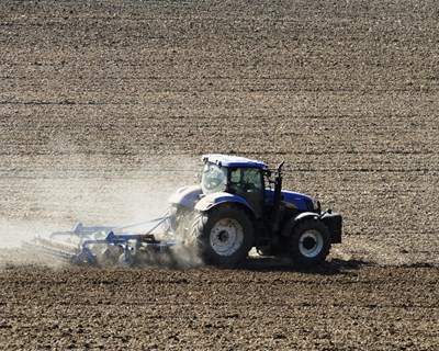 Ministério da Agricultura: "Todos os profissionais do setor agroalimentar são imprescindíveis"