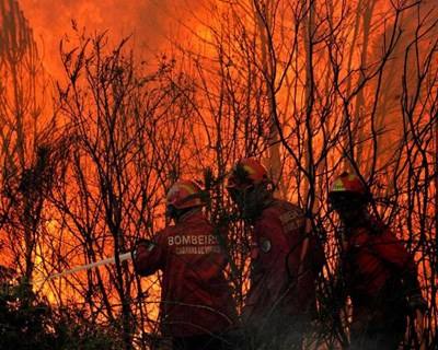 Ministério da Agricultura vai ajudar agricultores prejudicados pelos incêndios