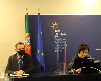 Ministra da Agricultura: «Conclusão da reforma da PAC é uma das principais prioridades da Presidência Portuguesa do Conselho da UE»
