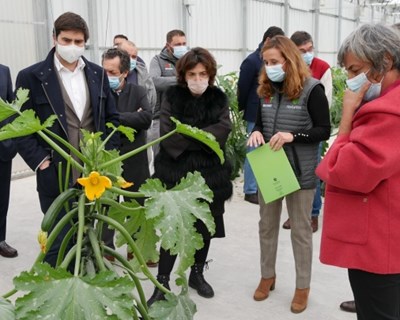 Ministra da Agricultura visita produtores agrícolas da região Oeste