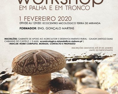 Miranda do Douro acolhe workshop sobre iniciação à produção de cogumelos
