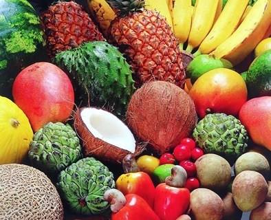 Moçambique organiza I Workshop Nacional de Fruteiras Nativas