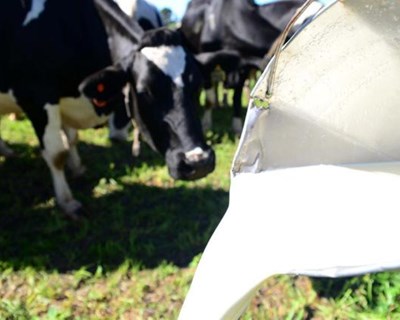 Mogadouro: empresário investe €2,5 milhões numa unidade de transformação de produtos lácteos