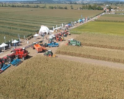 Mondego Agrícola 2022, feira das Culturas, dia 6 de setembro