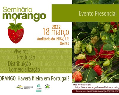 “Morango. Haverá Fileira em Portugal?” é o mote do debate dia 18 de março
