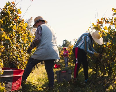 Mulheres na Agricultura: primeiro workshop ‘EQUAL RURAL‘