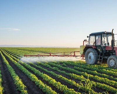 Nova Política Agrícola Comum: Proteger os rendimentos dos agricultores e a segurança alimentar