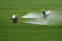 Novo guia para medir taxas de pesticidas no solo