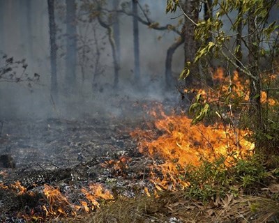 Novo sistema tecnológico de proteção contra incêndios rurais testado em Arganil