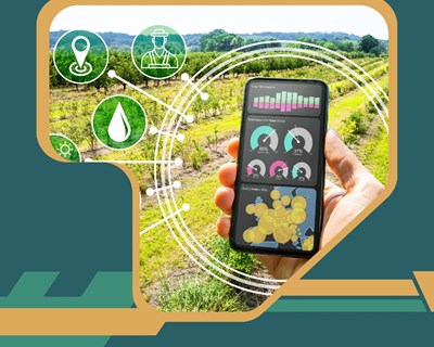 NP_CICYTEX lidera o projeto hispano-português TID4AGRO para incentivar a digitalização da agroindústria através da implementação de tecnologias avançadas