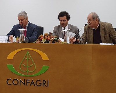 Nuno Russo realça importância das Organizações de Produtores para os agricultores