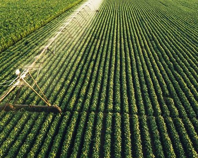 O futuro da Agricultura de Precisão em Portugal
