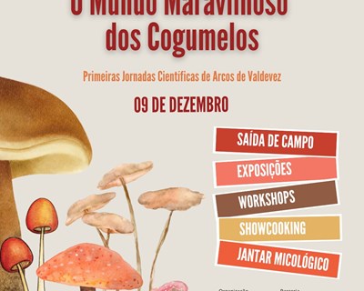 O Mundo Maravilhoso dos Cogumelos: primeiras jornadas científicas