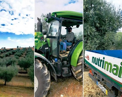 O NUTRIMAIS no olival tradicional transmontano