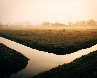 O Regadio e a Gestão da Água na Agricultura