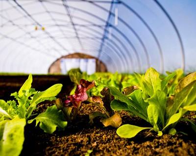 Odemira recebe Seminário sobre Agricultura Biológica