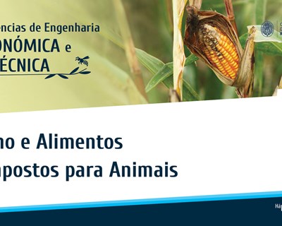 OERN organiza webinar sobre o milho e alimentos compostos para os animais
