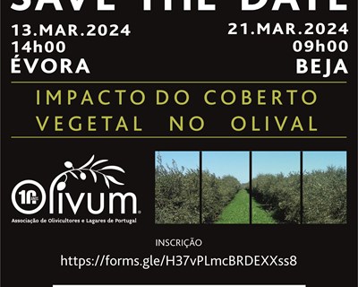 OLIVUM dinamiza Jornada Técnica sobre o ‘Impacto do Coberto Vegetal no Olival’