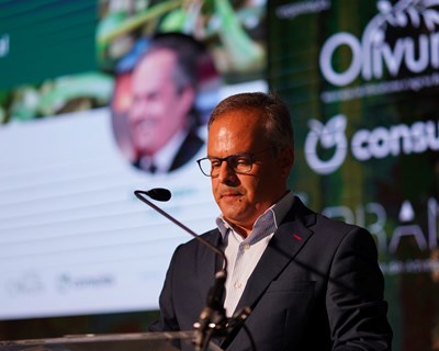 OLIVUM lança debate sobre os novos desafios para a olivicultura nacional na Agroglobal