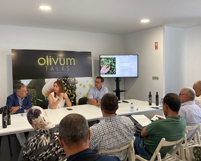 Olivum reúne com Organização para a Alimentação e Agricultura com a missão de apresentar o setor do azeite em Portugal