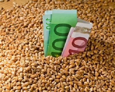 OMC quer terminar com subsídios para a exportação de produtos agrícolas