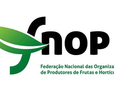 Produtores de Tomate para Indústria de Portugal preocupadas com escalada de preços da produção