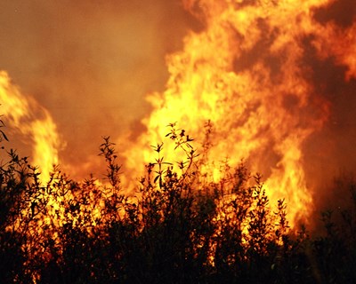 Os desafios da Proteção Civil no combate aos incêndios rurais em tempo de Covid-19