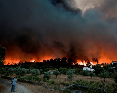 Os incêndios e a desertificação: realidade e caminhos futuros