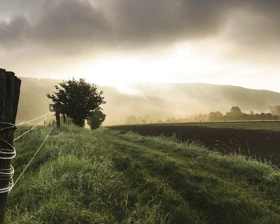 Ovibeja 2019: agricultura e alterações climáticas em discussão