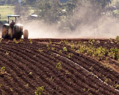 PAC: novas regras agrícolas simplificadas entram em vigor a 1 de janeiro