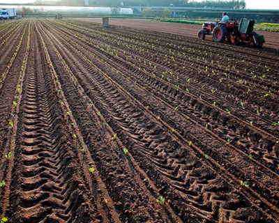 Países escandinavos e bálticos pedem maior simplificação da PAC