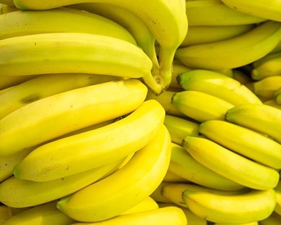 Parlamento Europeu aprova mecanismo para proteger produtores de banana europeus