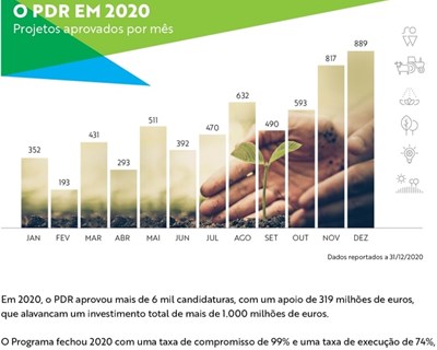 PDR 2020 aprovou mais de 6 mil candidaturas