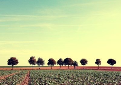 PDR 2020: contrapartida nacional de projetos agrícolas poderá ser reforçada