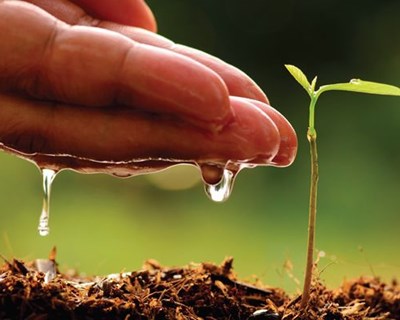 PDR 2020 lança Bolsa de Iniciativas para a sustentabilidade agrícola