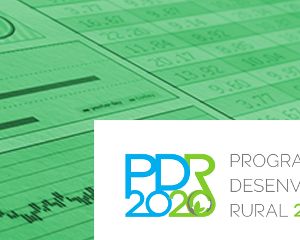 PDR 2020: publicada portaria relativa a pequenos investimentos agrícolas