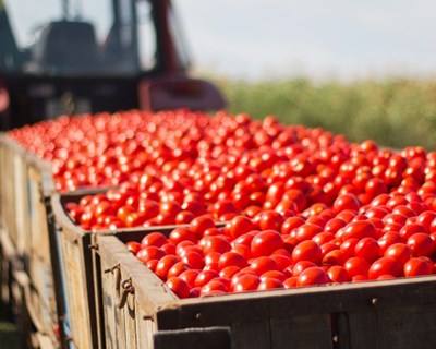 PE quer mudar lei da concorrência para fortalecer posição dos agricultores na cadeia alimentar