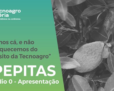 PEPITAS, a rubrica oficial da Tecnoagro Ibéria