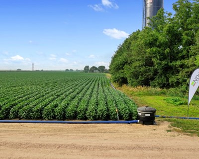 PepsiCo e N-Drip firmam parceria para poupar água e melhorar as colheitas